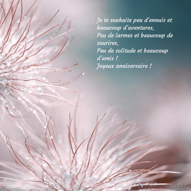 Carte postale avec des plantes duveteuses