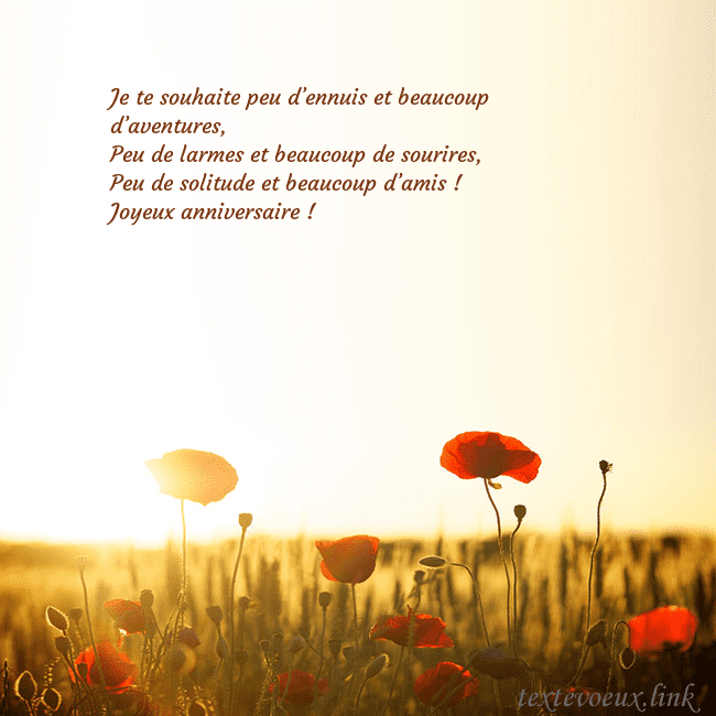 Carte postale électronique avec soleil et champ de coquelicots