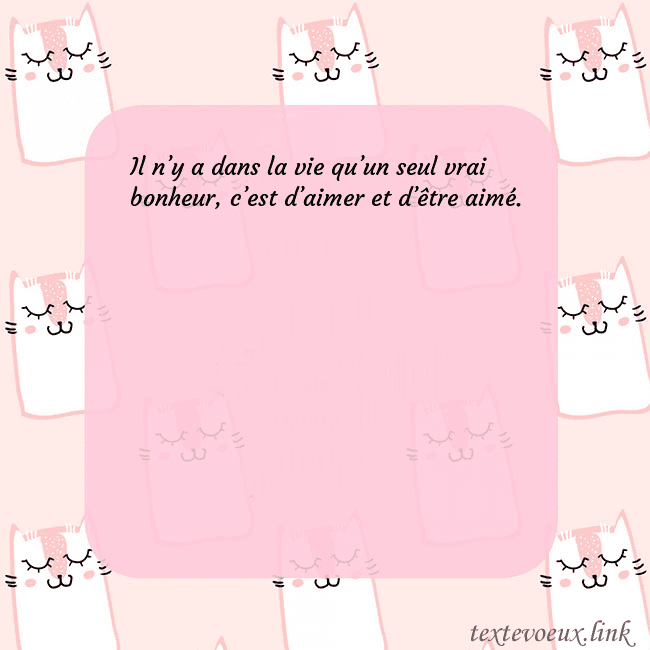 Carte de voeux rose avec des chats drôles