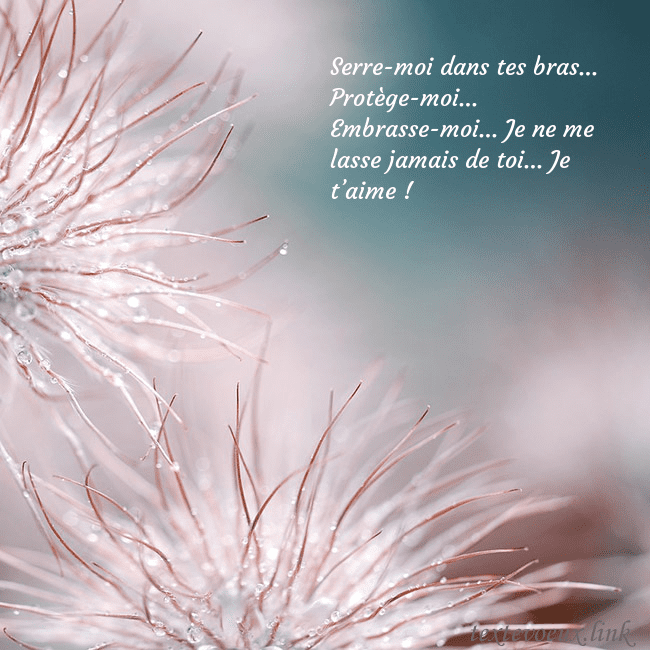 Carte postale avec des plantes duveteuses