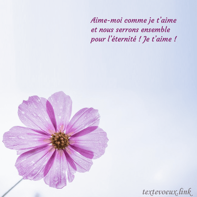 Carte électronique avec fleur violette