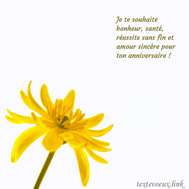 Carte de voeux avec fleur jaune