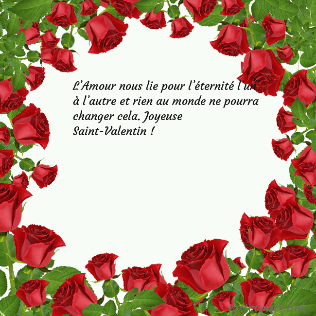 Cartes de vœux avec beaucoup de roses