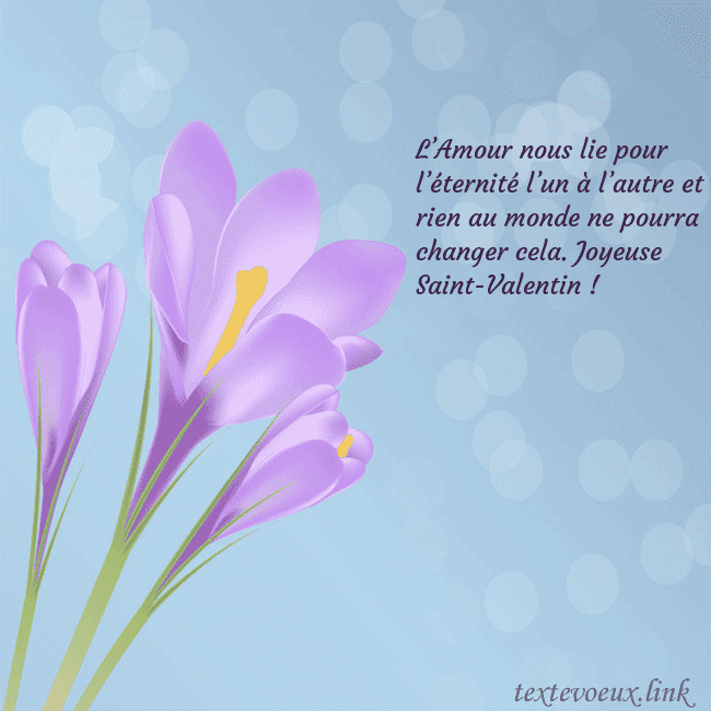 Cartes de vœux avec crocus