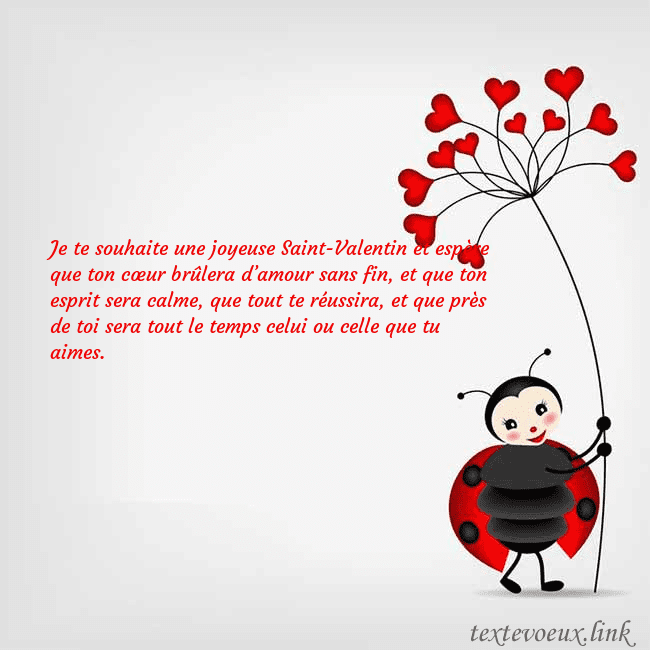 Carte de vœux avec coccinelle Je te souhaite une joyeuse Saint-Valentin et espèr Carte de vœux avec coccinelle