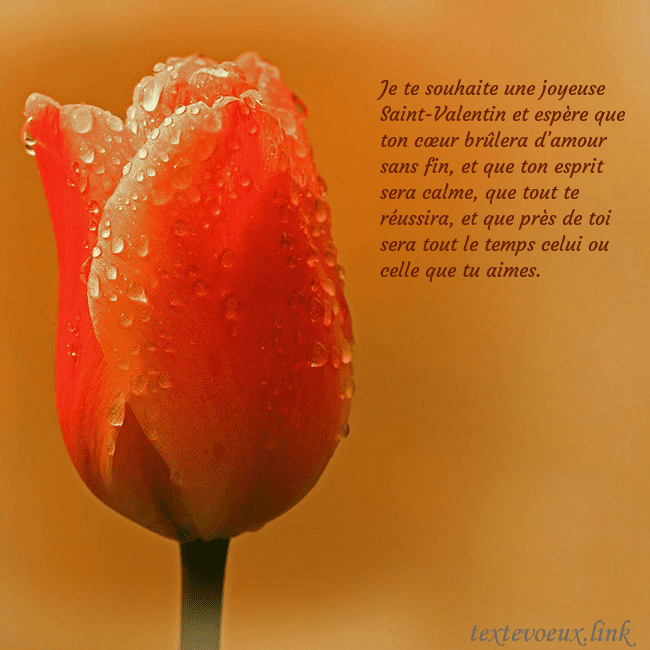 Carte de voeux avec tulipe rouge Je te souhaite une joyeuse Saint-Valentin et espèr Carte de voeux avec tulipe rouge