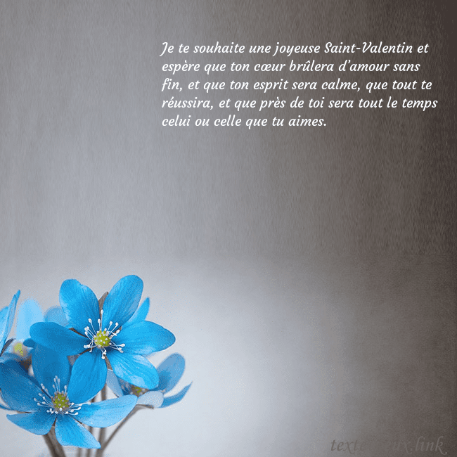 Carte postale avec violettes Je te souhaite une joyeuse Saint-Valentin et espèr Carte postale avec violettes