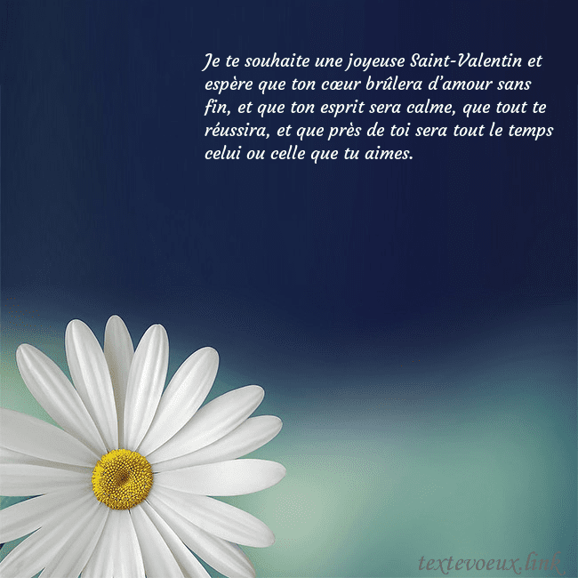 Carte postale avec une grande marguerite Je te souhaite une joyeuse Saint-Valentin et espèr Carte postale avec une grande marguerite