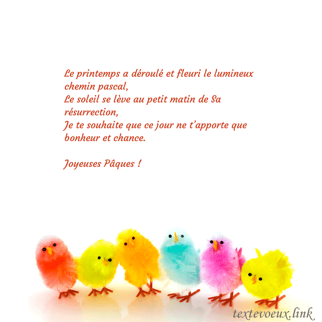 poulets colorés