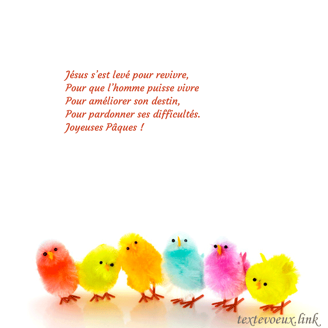 poulets colorés