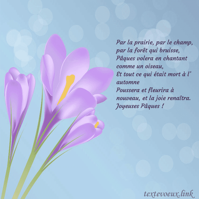 Cartes de vœux avec crocus