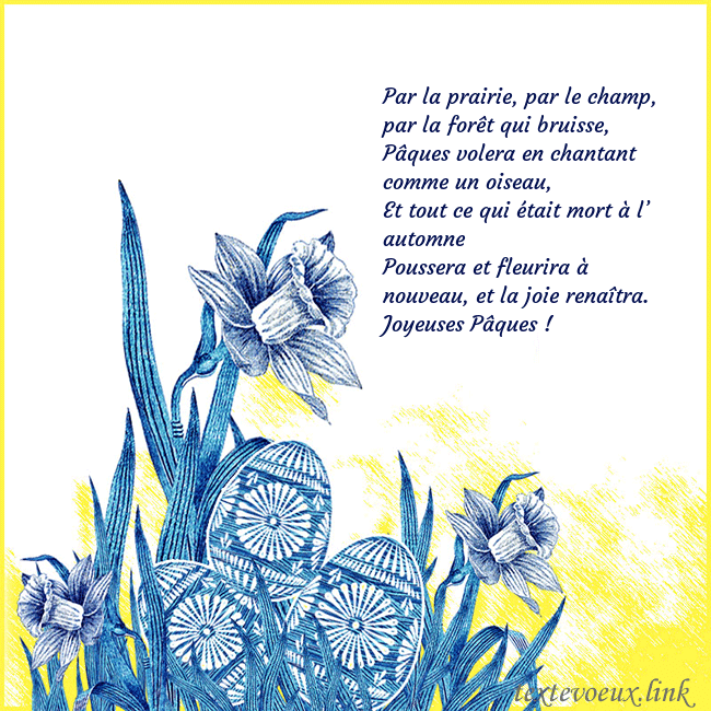 pois bleus