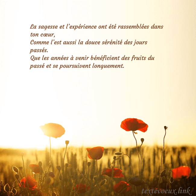 Carte postale électronique avec soleil et champ de coquelicots