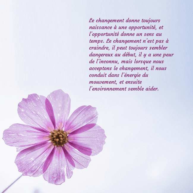 Carte électronique avec fleur violette