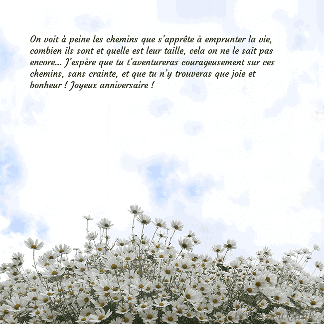 Carte de voeux avec marguerites