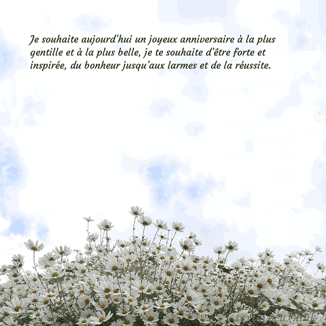 Carte de voeux avec marguerites