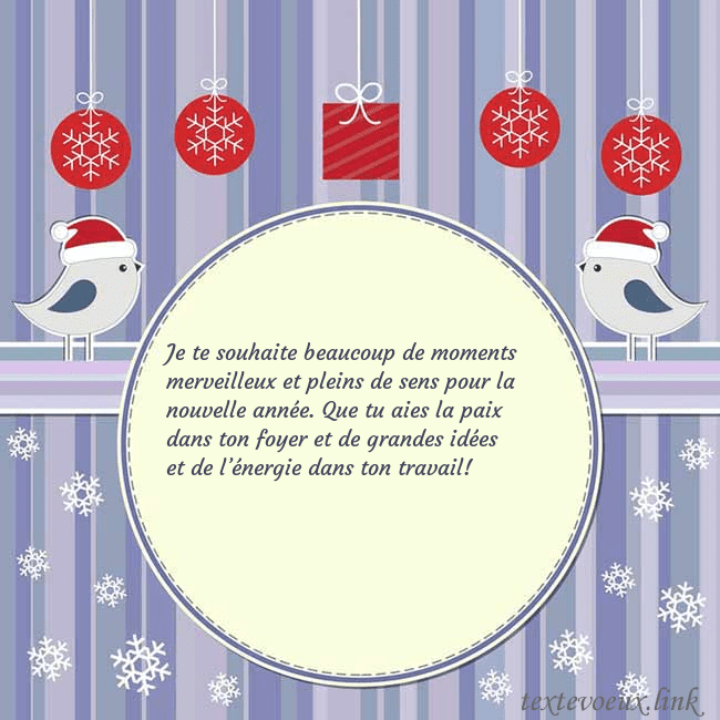 Cartes de vœux avec des oiseaux de Noël