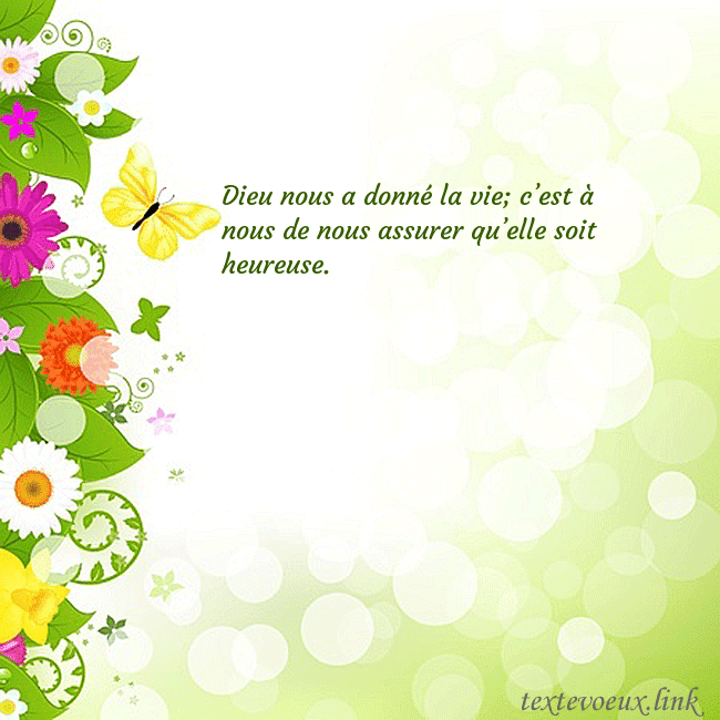 Cartes de vœux avec des fleurs et des papillons colorés