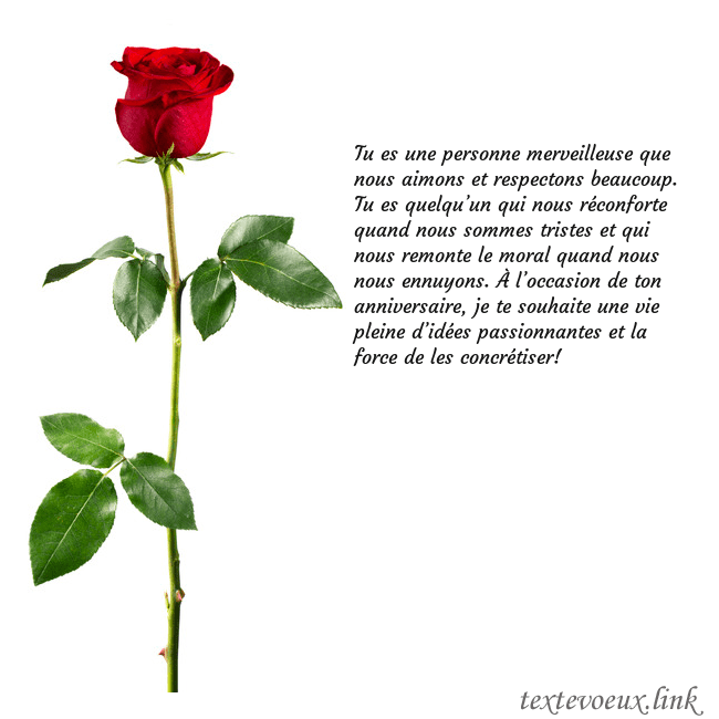 Carte de vœux avec une rose rouge