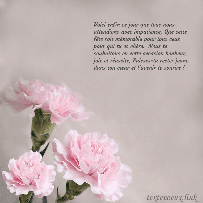 Carte de voeux avec oeillets roses