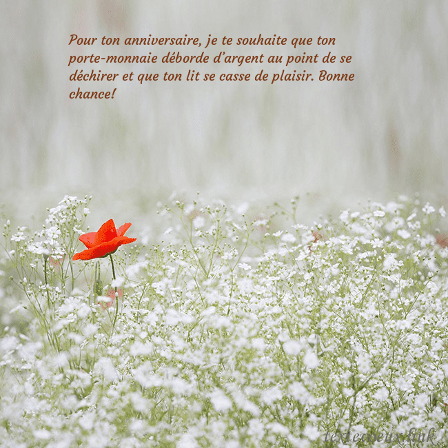 Carte électronique à fleurs blanches