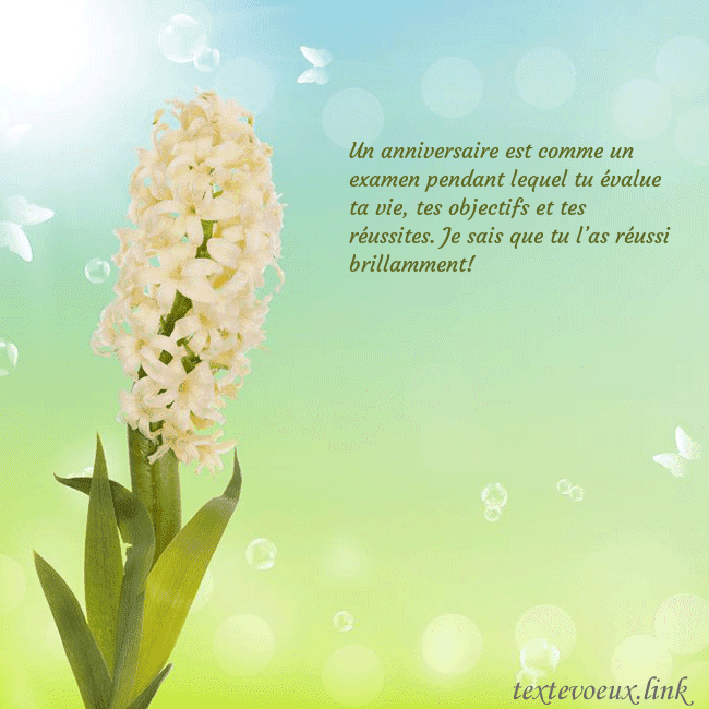 Cartes de vœux avec jacinthe