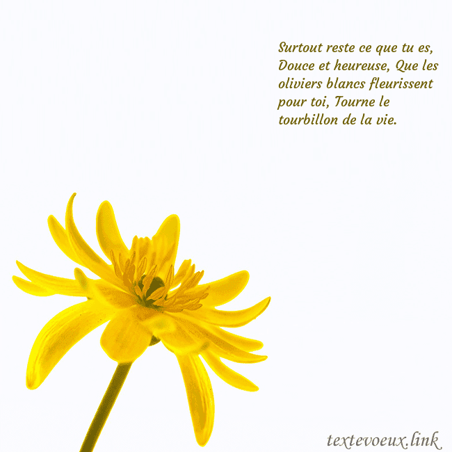 Carte de voeux avec fleur jaune