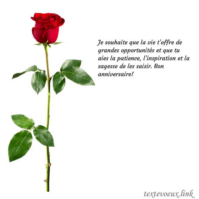 Carte de vœux avec une rose rouge