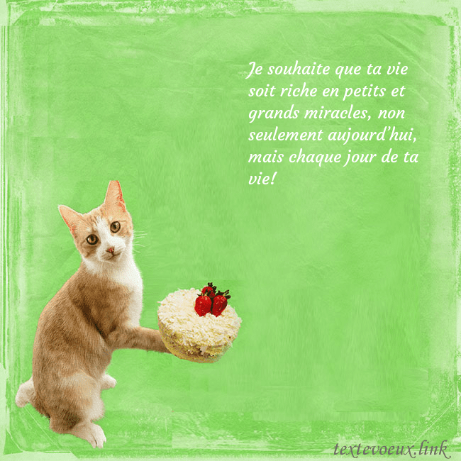 Carte d'anniversaire avec chat et gâteau