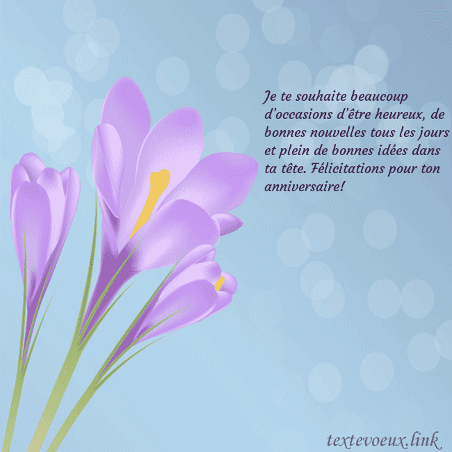 Cartes de vœux avec crocus