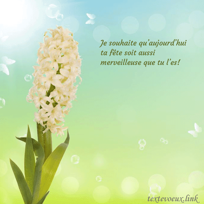 Cartes de vœux avec jacinthe