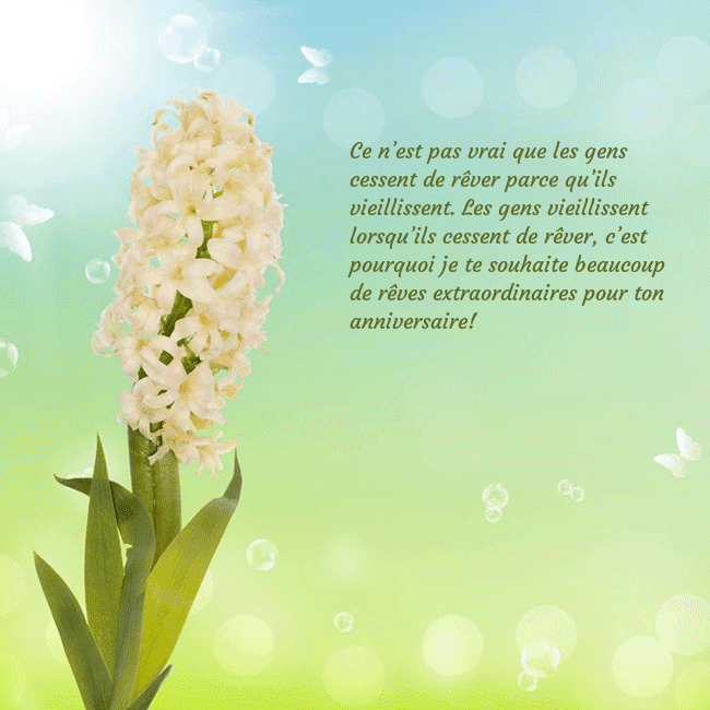 Cartes de vœux avec jacinthe