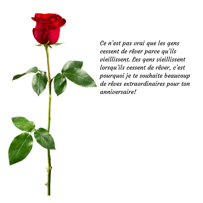 Carte de vœux avec une rose rouge