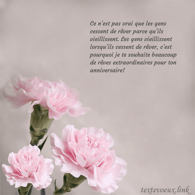 Carte de voeux avec oeillets roses