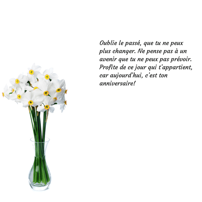 Carte de vœux avec des jonquilles