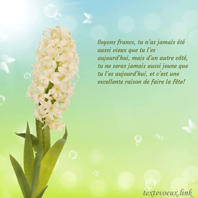 Cartes de vœux avec jacinthe