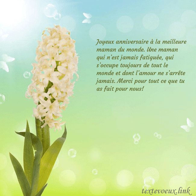 Cartes de vœux avec jacinthe