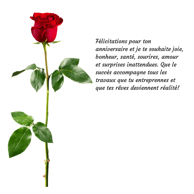 Carte de vœux avec une rose rouge