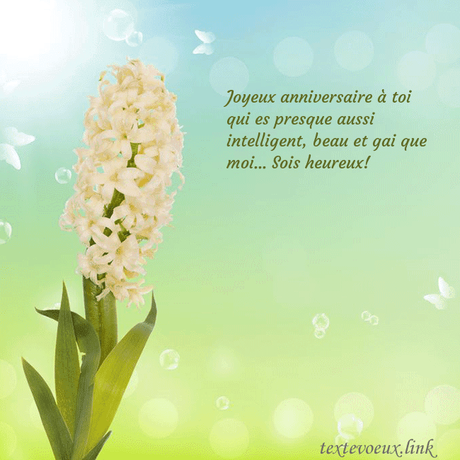 Cartes de vœux avec jacinthe