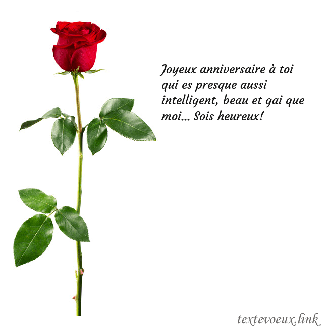 Carte de vœux avec une rose rouge