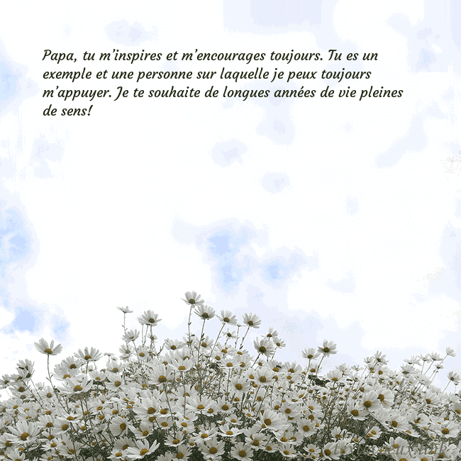 Carte de voeux avec marguerites