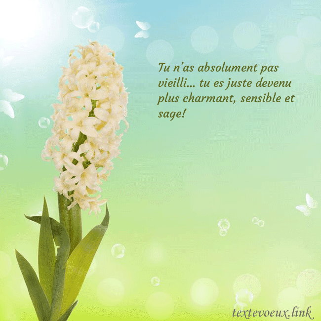 Cartes de vœux avec jacinthe