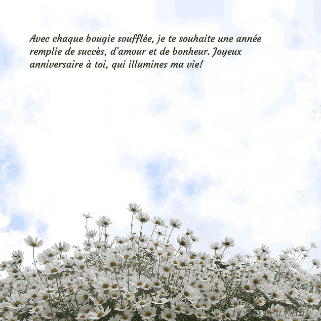Carte de voeux avec marguerites