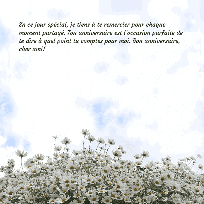 Carte de voeux avec marguerites