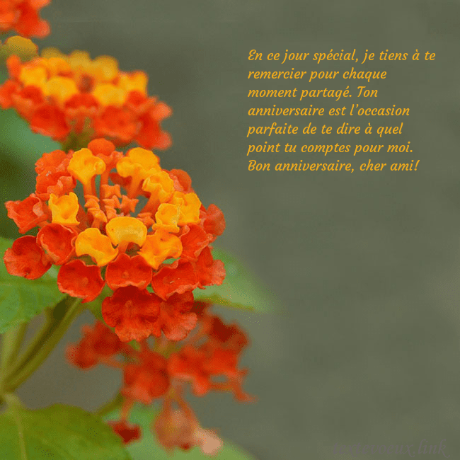 Carte d'anniversaire avec des fleurs oranges