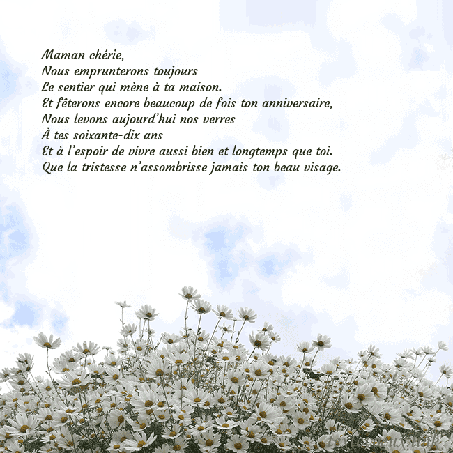Carte de voeux avec marguerites
