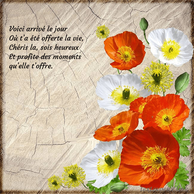 Carte d'anniversaire avec des coquelicots