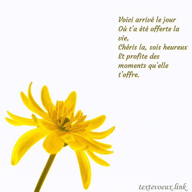 Carte de voeux avec fleur jaune