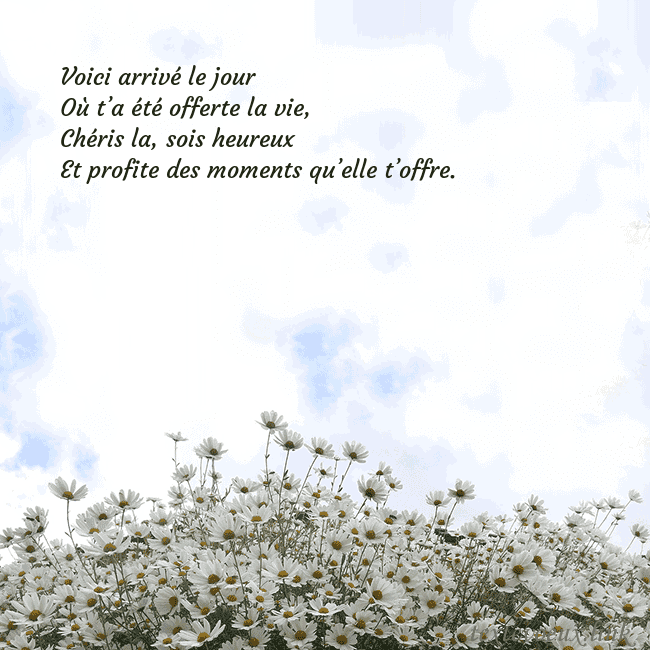 Carte de voeux avec marguerites