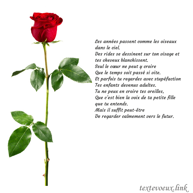Carte de vœux avec une rose rouge Les années passent comme les oiseaux dans le ciel. Carte de vœux avec une rose rouge